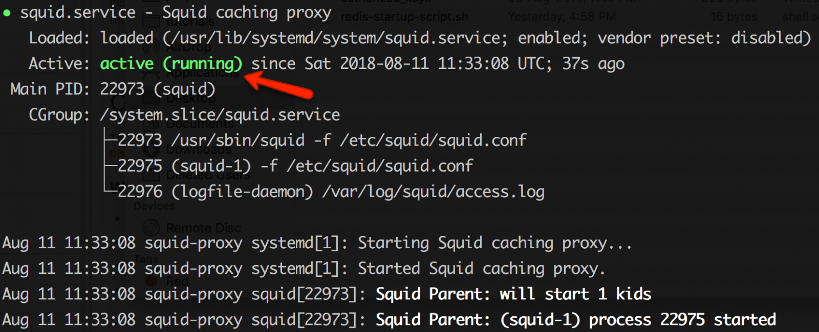 squidman proxy ps4